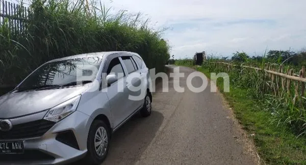 image TANAH DI BATU COCOK UNTUK VILA ATAU KEBUN JERUK DEPAN PWEC (4)