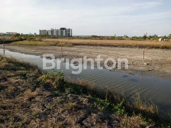 image TANAH KAVLING DI TAMBAK OSO WARU SIDOARJO (2)