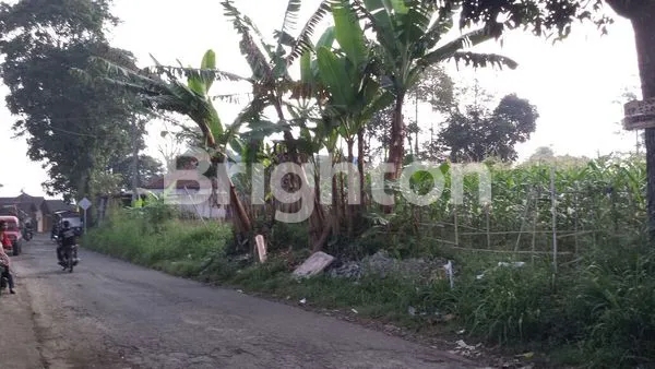 STRATEGIS SIAP BANGUN