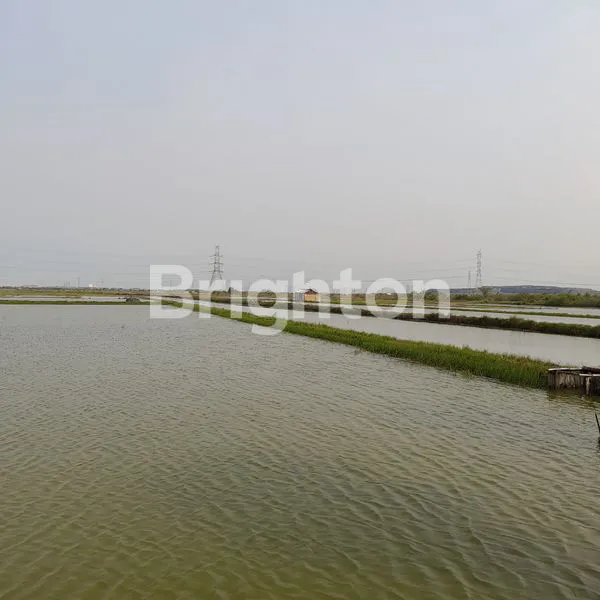 image TANAH DEKAT GELORA BUNG TOMO, SURABAYA (1)