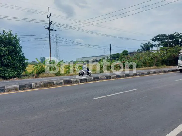 image TANAH NOL JALAN RAYA PANDAAN (1)