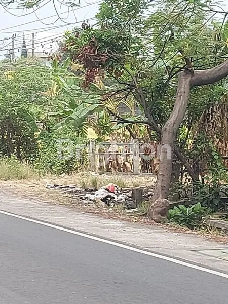 image TANAH NOL JALAN RAYA PANDAAN (2)