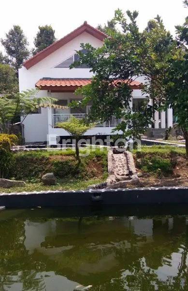 image DI JUAL VILA FULL FURNISH YANG SANGAT CANTIIK DAN BERSIH DENGAN VIEW GUNUNG SALAK DI DAERAH CIAPUS - BOGOR (7)