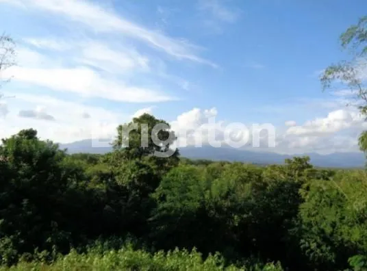 image TANAH DI JEMBRANA MOUNTAIN VIEW (2)