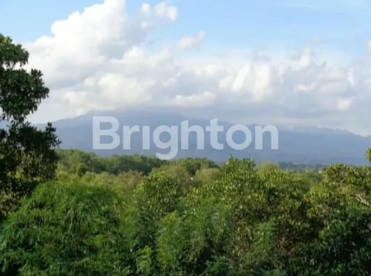 image TANAH DI JEMBRANA MOUNTAIN VIEW (1)