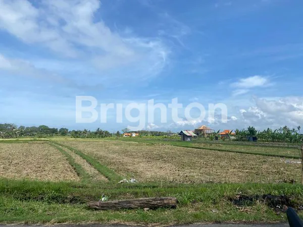 image TANAH DI PANTAI LIMA PERERENAN COCOK UNTUK VILLA DAN RESIDENCE (2)