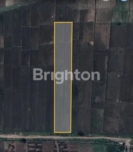 image TANAH LUAS JATISARI PAKISAJI WAGIR MALANG (1)