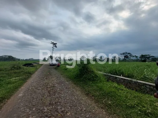 image TANAH LUAS JATISARI PAKISAJI WAGIR MALANG (2)