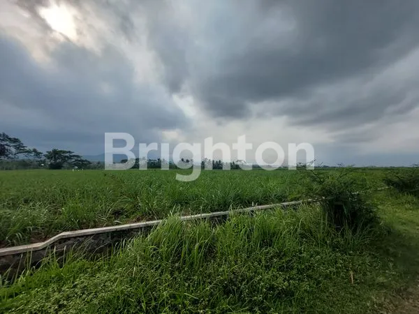 image TANAH LUAS JATISARI PAKISAJI WAGIR MALANG (3)