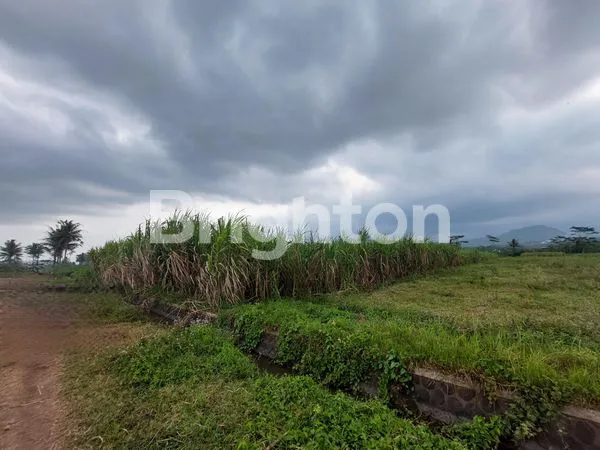 image TANAH LUAS JATISARI PAKISAJI WAGIR MALANG (1)