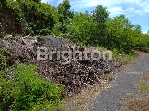 image TANAH DI LOKASI STRATEGIS DEKAT UNIVERSITAS UDAYANA JIMBARAN (4)