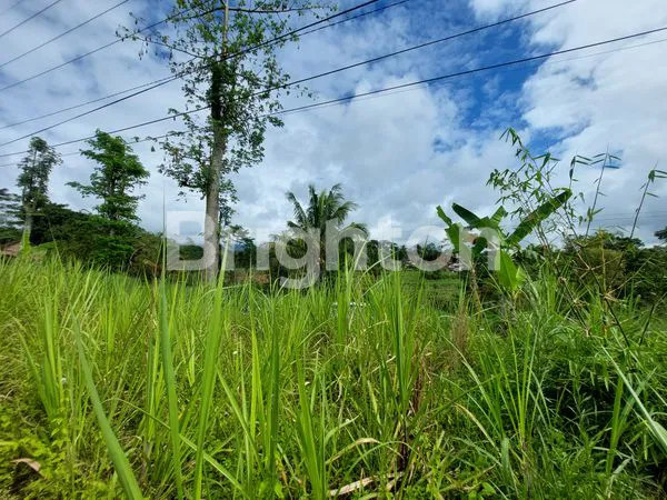image TANAH LUAS PINGGIR JALAN PETUNG SEWU WAGIR MALANG (1)