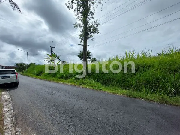 image TANAH LUAS PINGGIR JALAN PETUNG SEWU WAGIR MALANG (2)
