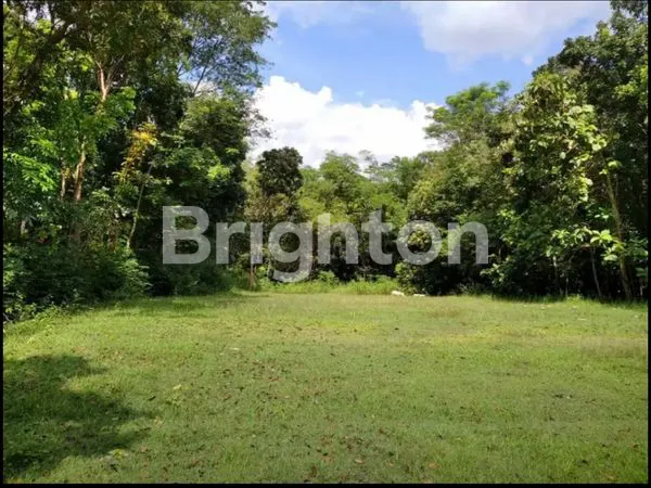 image TANAH BEJEN KARANGANYAR (3)