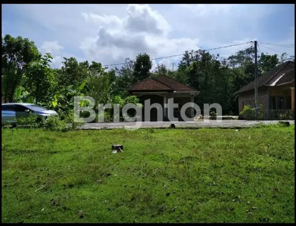 image TANAH BEJEN KARANGANYAR (5)