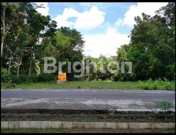 image TANAH BEJEN KARANGANYAR (4)