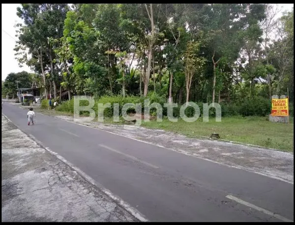 image TANAH BEJEN KARANGANYAR (6)