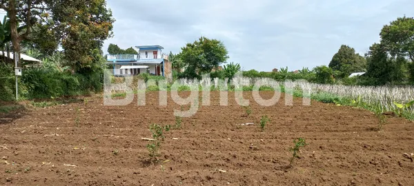 image TANAH KAVLING CIMENTENG KOL MASTURI CIMAHI COCOK UNTUK KEBUN & PERUMAHAN (4)