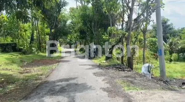 image TANAH MURAH DI KARANGASEM WITH BEACH VIEW (4)