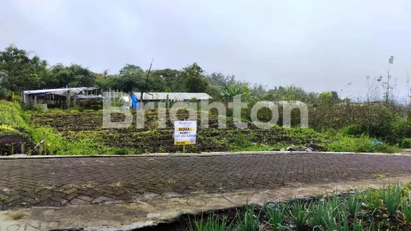 image TANAH DI SUMBERGONDO BATU (1)