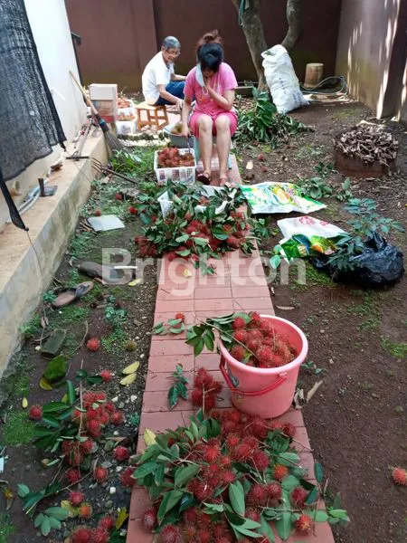 image RUMAH NYAMAN SIAP HUNI DIDALAM KOMPLEKS DEPOK (8)
