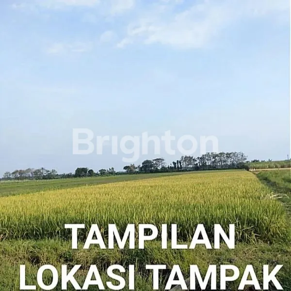 image TANAH ZONA INDUSTRI NOL JALAN PROVINSI (1)