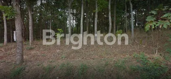 image TANAH DI PERUM BUMI TRAWAS INDAH LOKASI BERKEMBANG MOJOSARI MOJOKERTO (1)