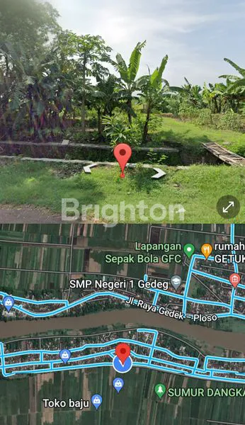 JUAL TANAH KEBUN TEBU KESAMBEN JOMBANG