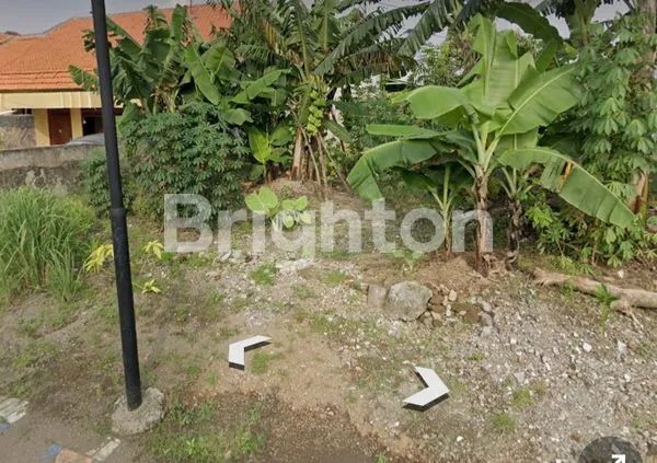 image TANAH MAYANGKARA, LANGKA!! NEGO SAMPAI DEAL (1)