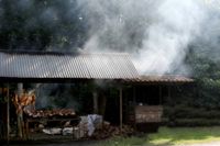 Harga Seng Gelombang2