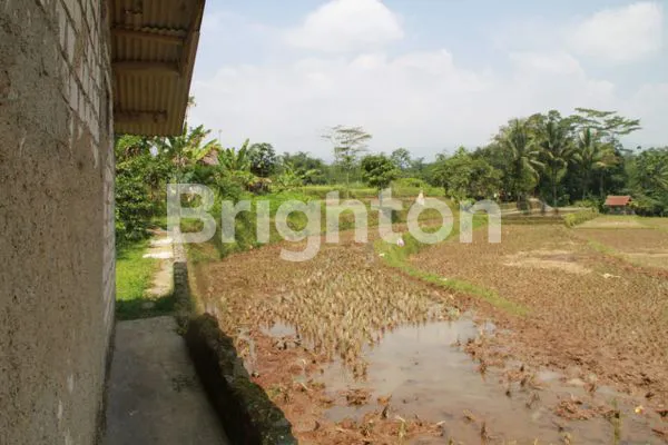 image TANAH MURAH DI BOGOR (2)