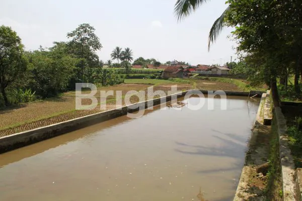 image TANAH MURAH DI BOGOR (5)