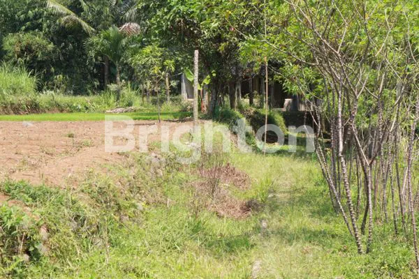 image TANAH MURAH DI BOGOR (7)