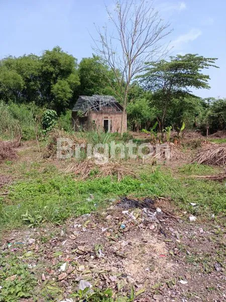 image MURAH HARGA TERJUN TANAH + BANGUNAN NOL RAYA TRAWAS LEBAKSONO PUNGGING MOJOSARI, LOKASI STRATEGIS RAMAI DEKAT LOKASI INDUSTRI (5)