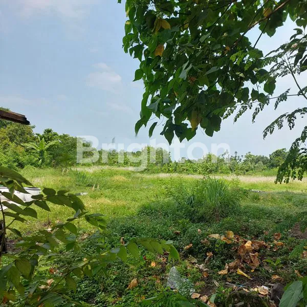 image TANAH STRATEGIS SEDATI SIDOARJO (1)