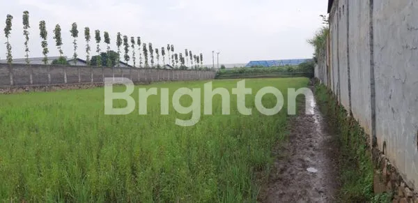 image TANAH SELUAS 6000 M² DI KAWASAN INDUSTRI MEKARSARI, BALEENDAH (2)
