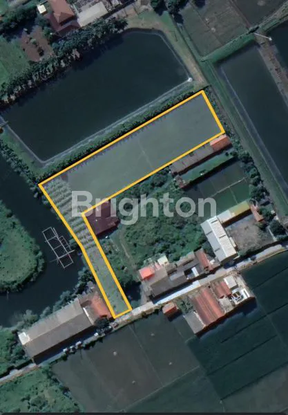 image TANAH SELUAS 6000 M² DI KAWASAN INDUSTRI MEKARSARI, BALEENDAH (1)