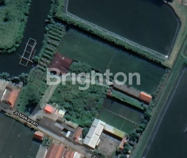 image TANAH SELUAS 6000 M² DI KAWASAN INDUSTRI MEKARSARI, BALEENDAH (3)