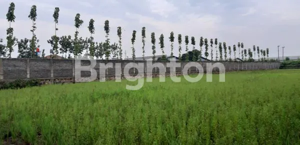 image TANAH SELUAS 6000 M² DI KAWASAN INDUSTRI MEKARSARI, BALEENDAH (4)