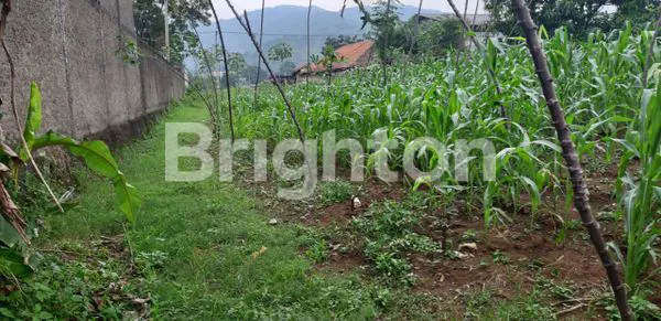 image TANAH SELUAS 6000 M² DI KAWASAN INDUSTRI MEKARSARI, BALEENDAH (5)