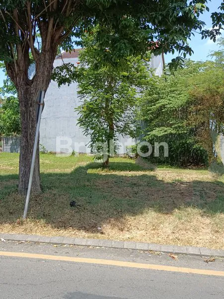 image  KAVLING BUKIT PALMA CITRALAND (2)