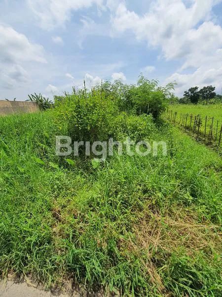 image TANAH VIEW SAWAH DAN MERAPI BAGUS UTK RUMAH DAMAI DAN TENANG KAWASAN SAWAH JOGLO (1)