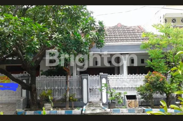 image REWWIN WARU SIDOARJO (1)