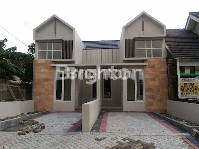 image KING SAFIRA TYPE WINDSOR (1)