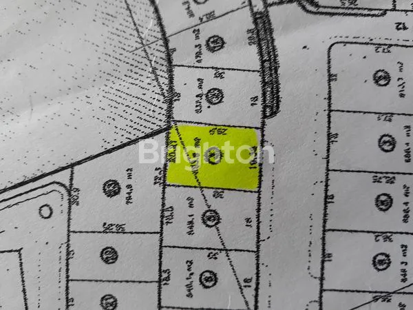 image TANAH RAYA BUKIT GOLF INTERNATIONAL CITRALAND (1)