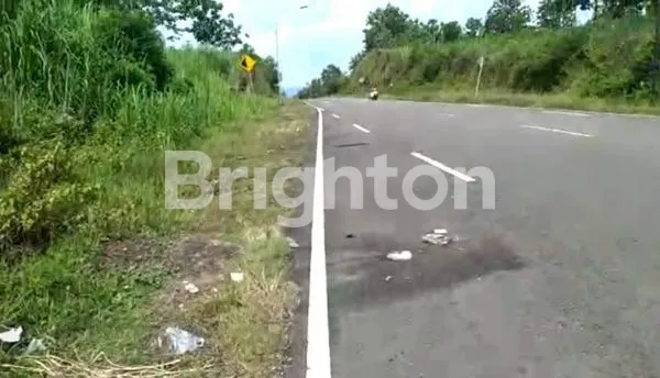 image TANAH DI DEKAT JALAN LINGKAR PRACIMANTORO (3)