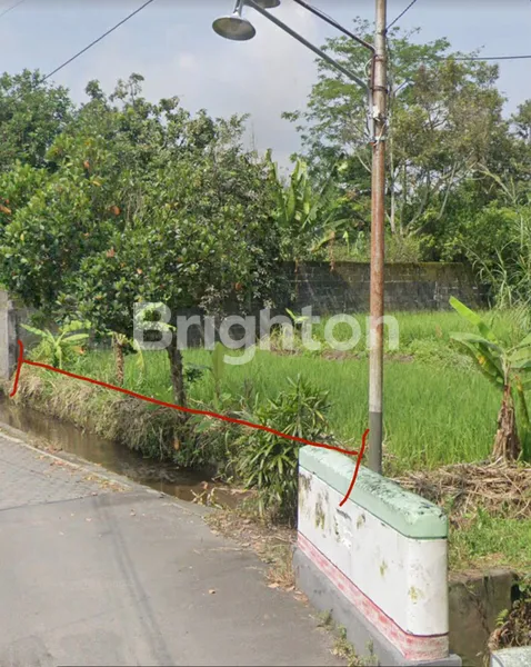 Gambar Property TANAH SAWAH DAERAH BERKEMBANG KAWASAN PEMUKIMAN KOPI PAKEM