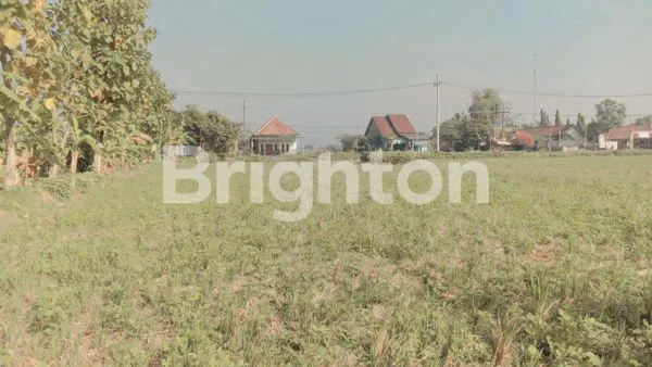 image TANAH LUAS COCOK UTK KAVLINGAN. AKSES JALAN DEPAN BELAKANG. DAERAH MOJOAGUNG JOMBANG (1)