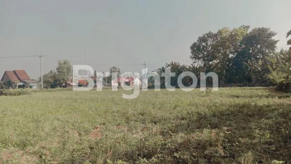 image TANAH LUAS COCOK UTK KAVLINGAN. AKSES JALAN DEPAN BELAKANG. DAERAH MOJOAGUNG JOMBANG (4)