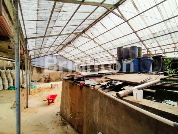 image TANAH EX PETERNAKAN DI KEPANJEN MALANG (3)